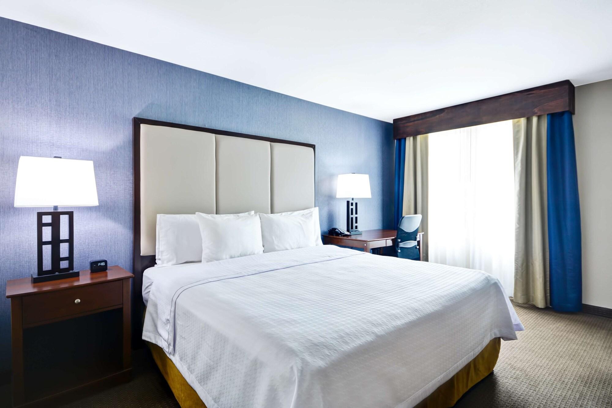 Homewood Suites By Hilton Dallas-Льюисвилл Экстерьер фото